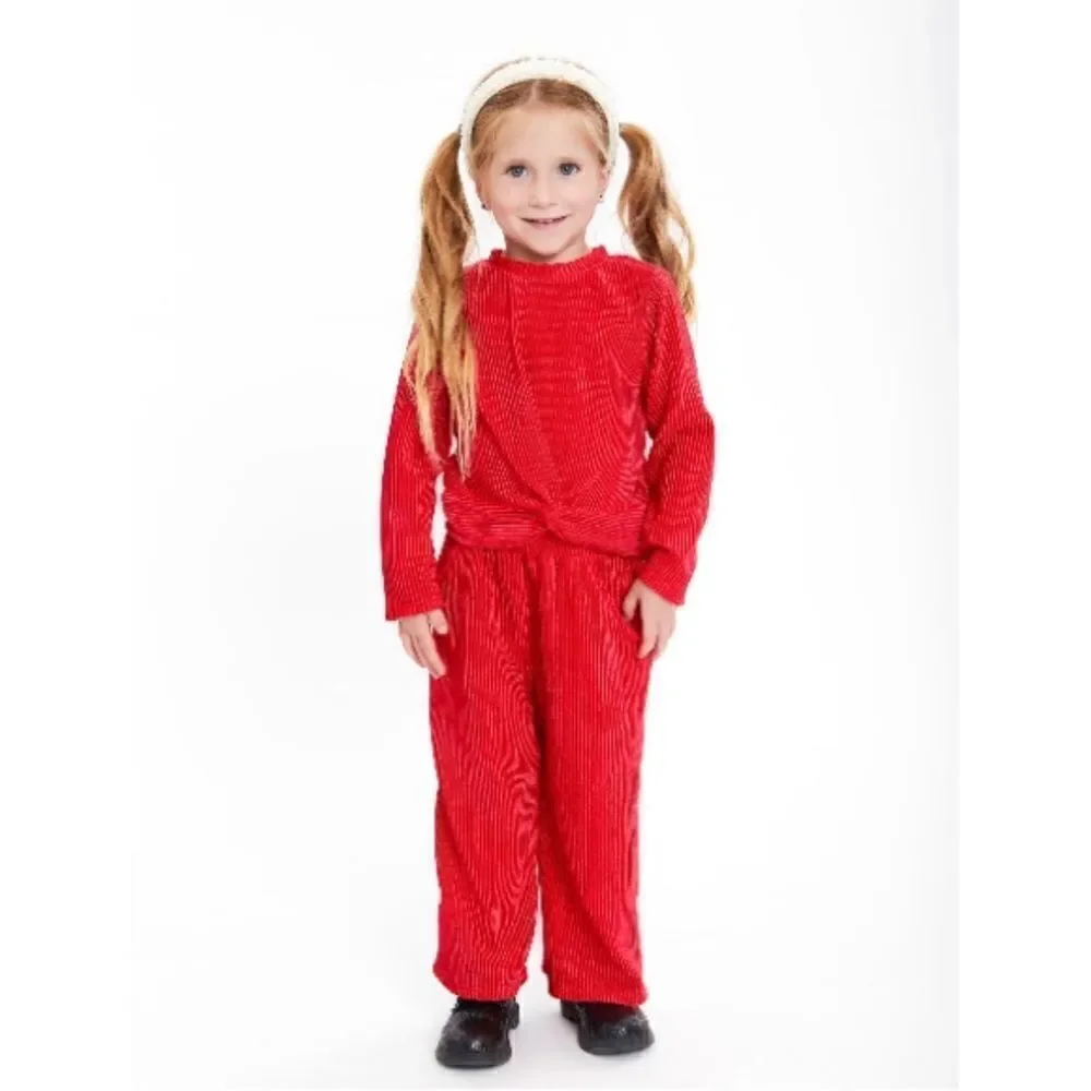 Toddler Girls Plush Ribbed Velour Top & Bottom 2-Piece Set Size 3T
